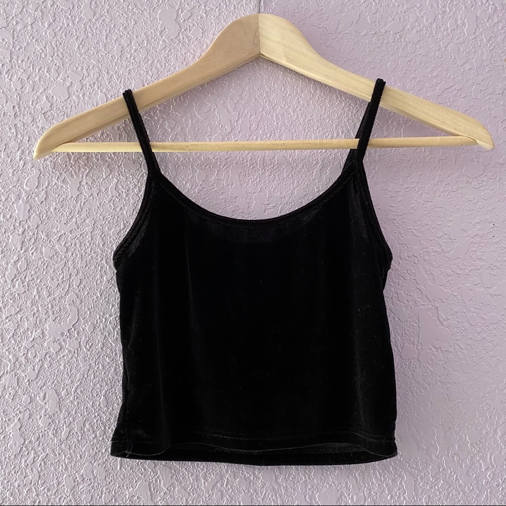 Brandy Melville Velvet Crop Top